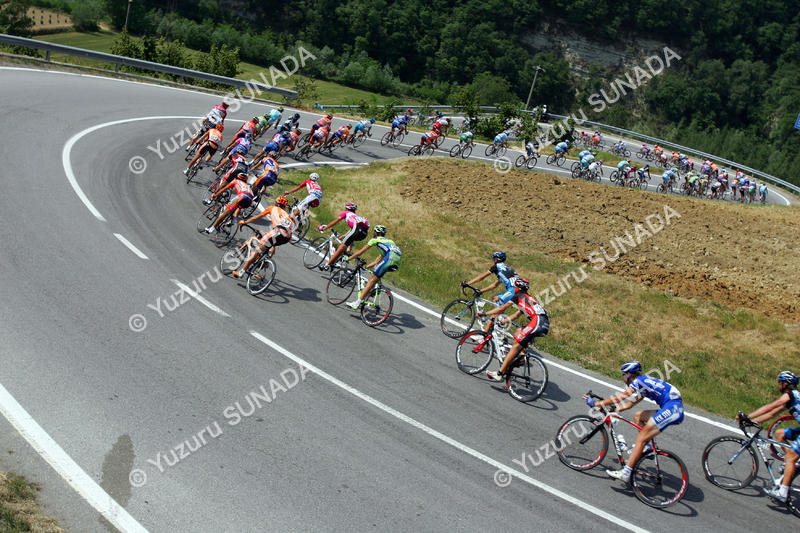Peloton at curve005p.jpg